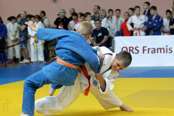 в Старом Осколе пройдет 19 Международный турнир по дзюдо среди юношей и девушек 2004-2005 г.р.